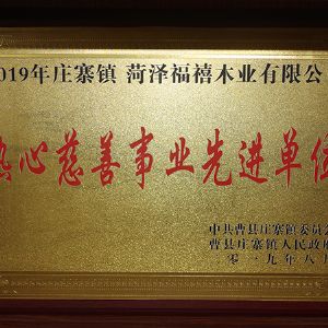 熱心慈善事業先進單位